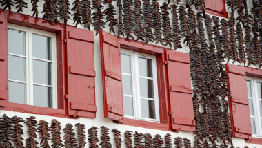Learn Basque Online – Level 2
