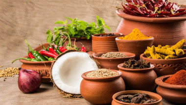 Learn English Online (Indian) – Level 1